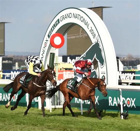 2018 grand national|2018 grand national winner.
